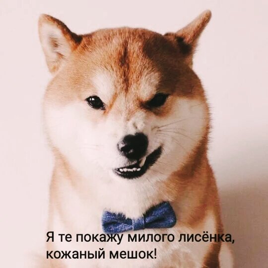 Фото из интернета в обработке автора