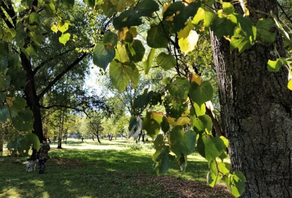    Фото: Екатерина Иванова. UG.RU