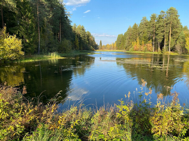    Золотая осень в Кировской области. Фотолента