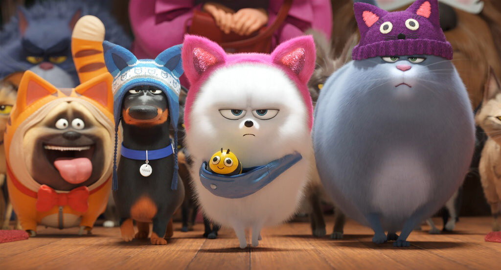 Слева направо: Мэл, Бадди, Гиджет с пчелкой и Хлоя. Кадр из фильма "Тайная жизнь домашних животных 2"