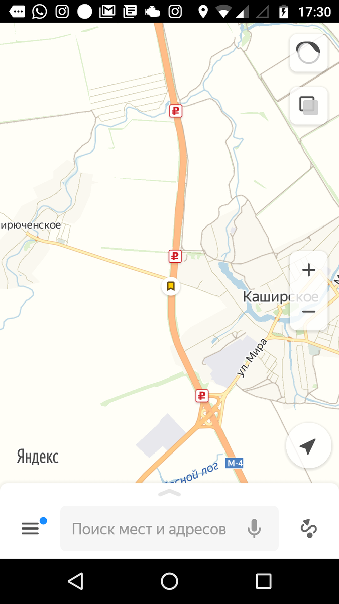 Выставка у жёлтого флажка.