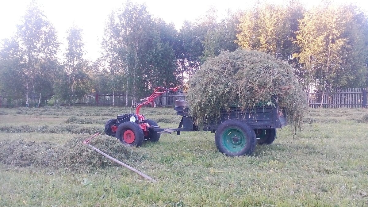 автор фото Александр Г.