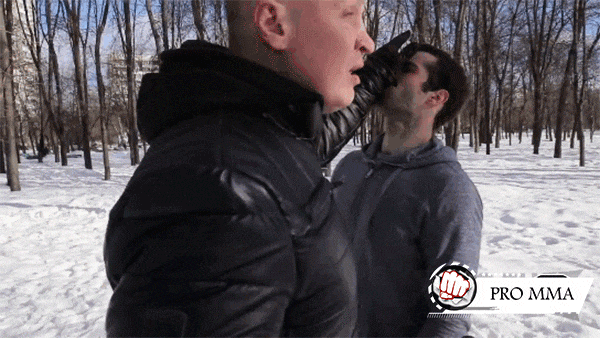 Удар ладошкой в нос