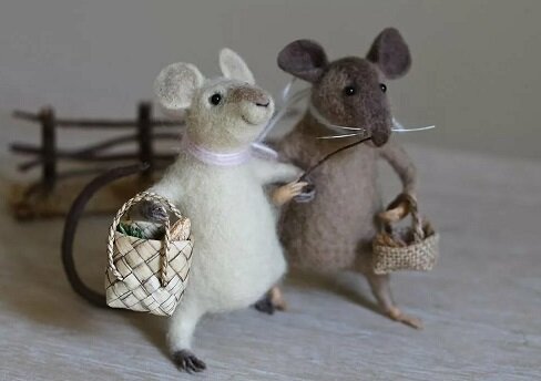 Они  прекрасны, не правда ли?