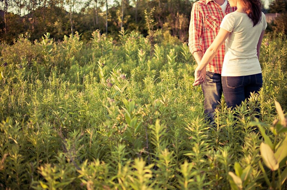 https://cdn.pixabay.com/photo/2016/11/22/22/51/countryside-1851038_960_720.jpg