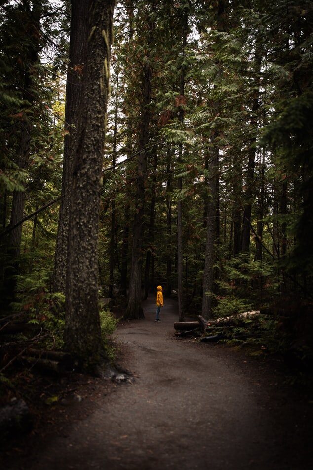 https://unsplash.com/photos/mfbnCuleh_w