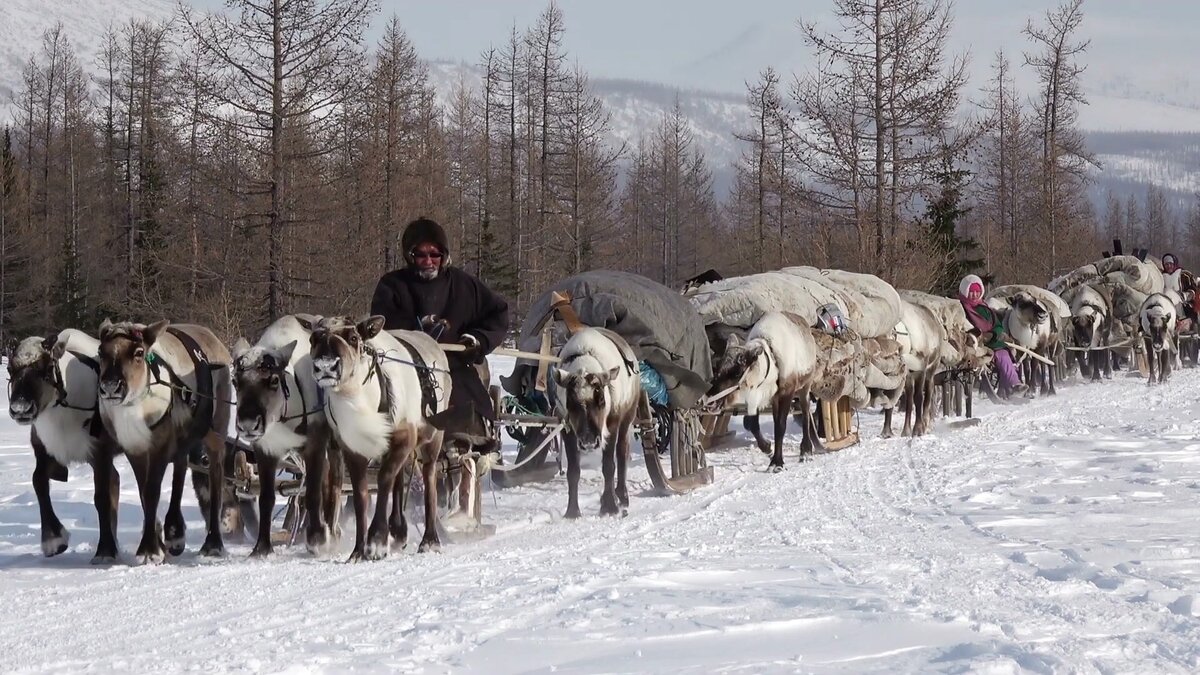 Аргиш это. Аргиш. Байкальский Аргиш.