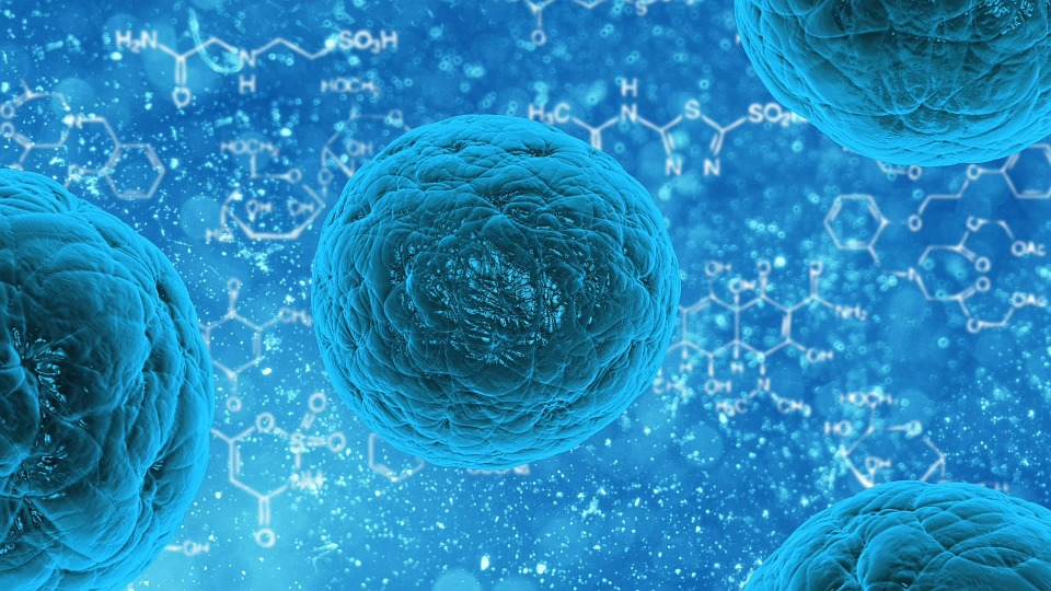 https://pixabay.com/illustrations/bacteria-illness-virus-infection-163711/