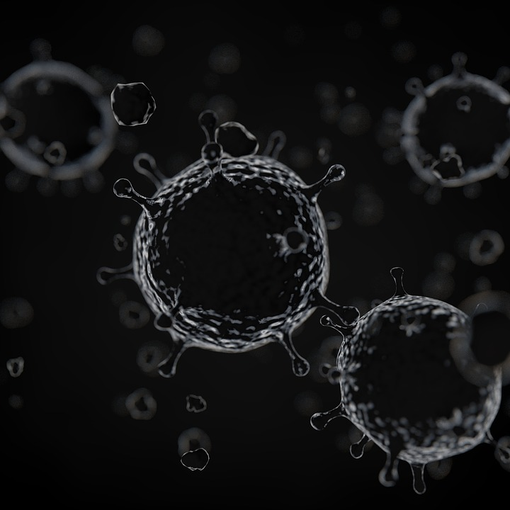 https://pixabay.com/illustrations/virus-bacteria-epidemic-health-1675421/