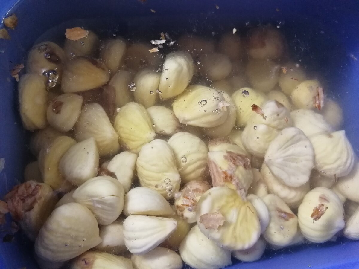 Полкило каштанов 