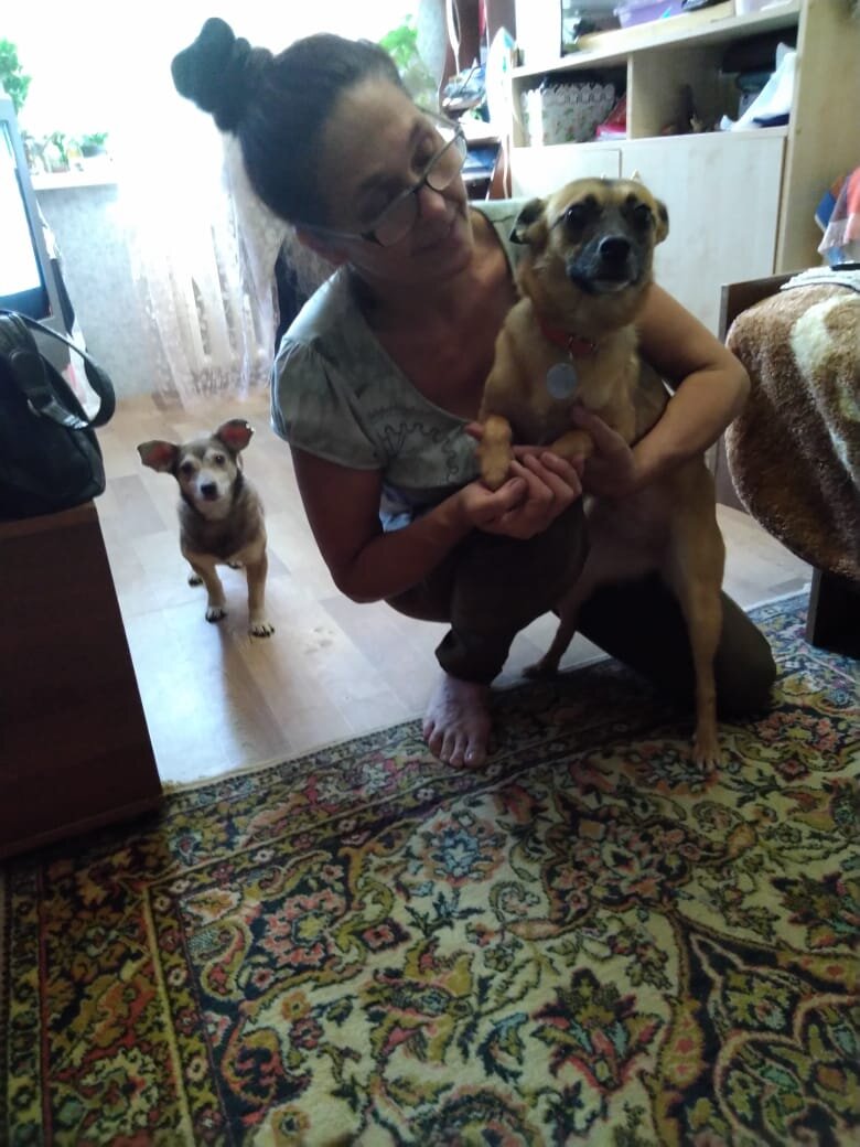 Собака Стаси из Банды Дворян