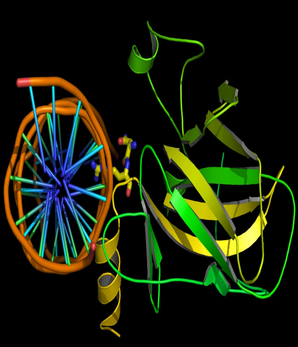 http://www.sbras.info/articles/science/matematicheskie-modeli-bolezn-v-algoritmakh