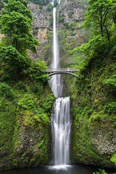 https://pixabay.com/photos/waterfall-nature-water-flowing-801844/