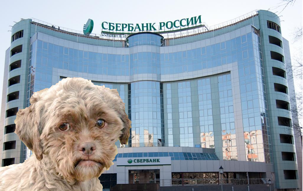 Не дайте банкирам вам отказать. Методичка для тех, кому точно нужен кредит