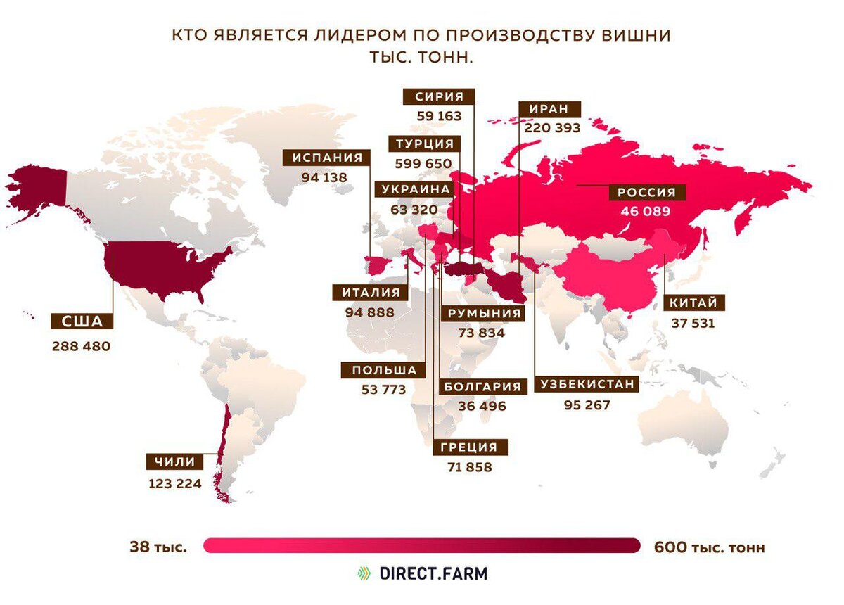 Страны мира по производству вишни