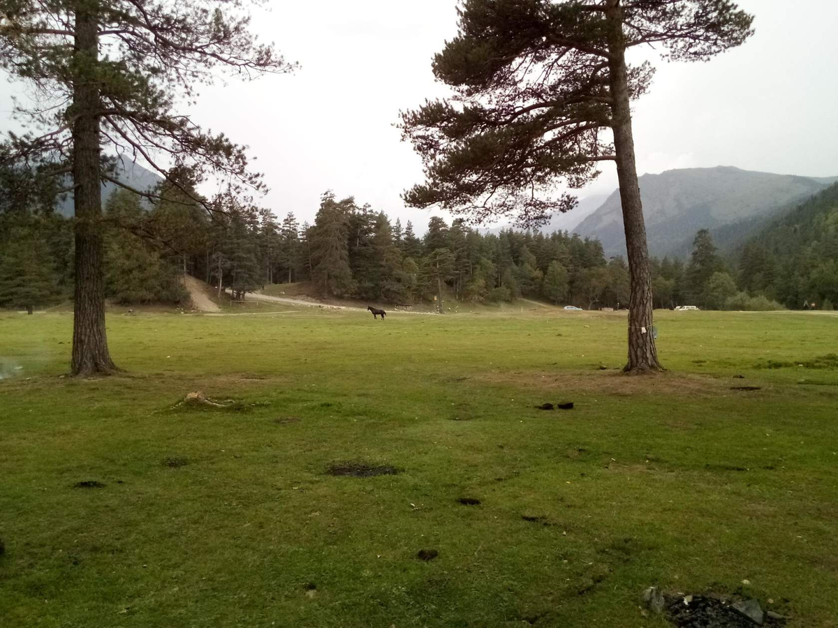 Поляна Таулу