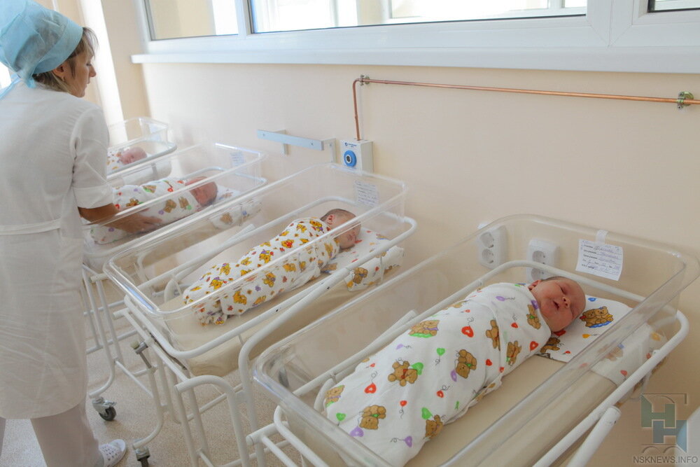 Яндекс. Картинки 