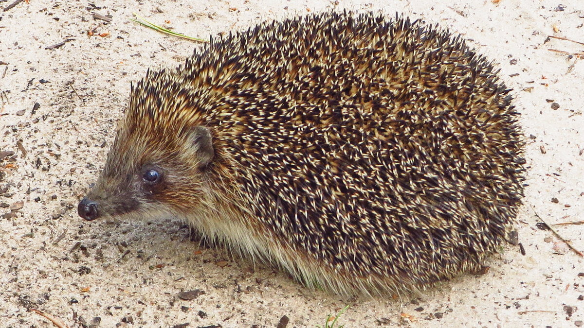 Источник: Яндекс.Картинки