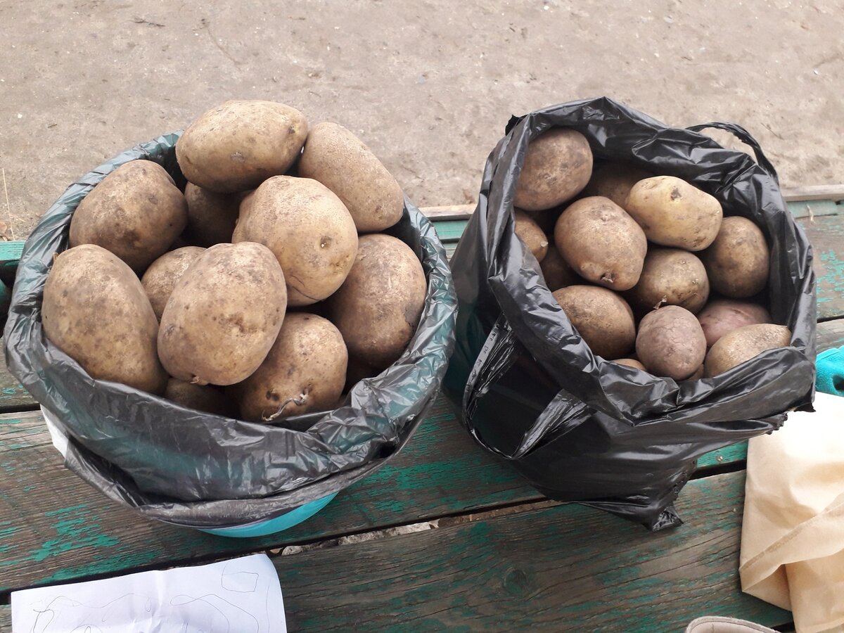 Мой урожай.