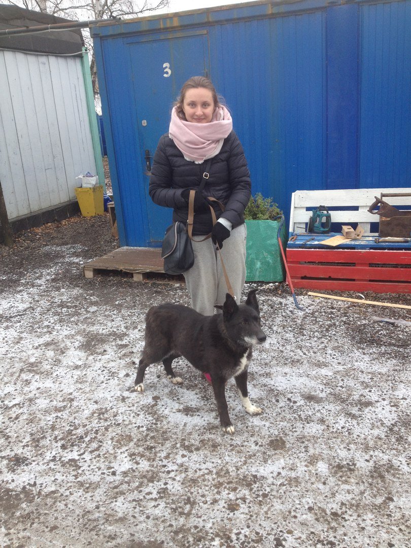 Яшу забирает будущая хозяйка из приюта Солнцево