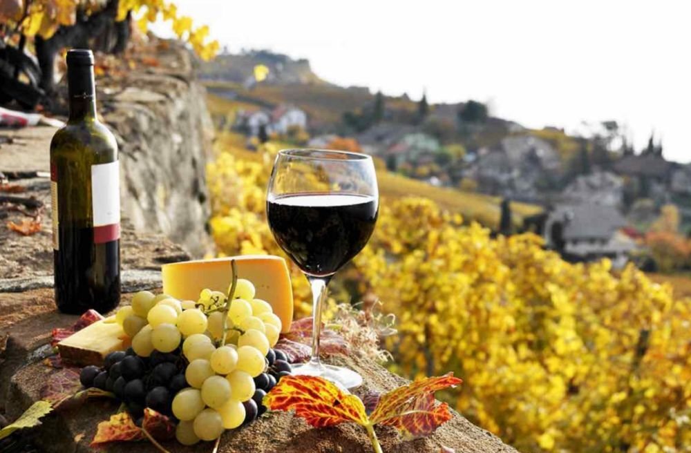 Фото: pbs.twimg.com.  