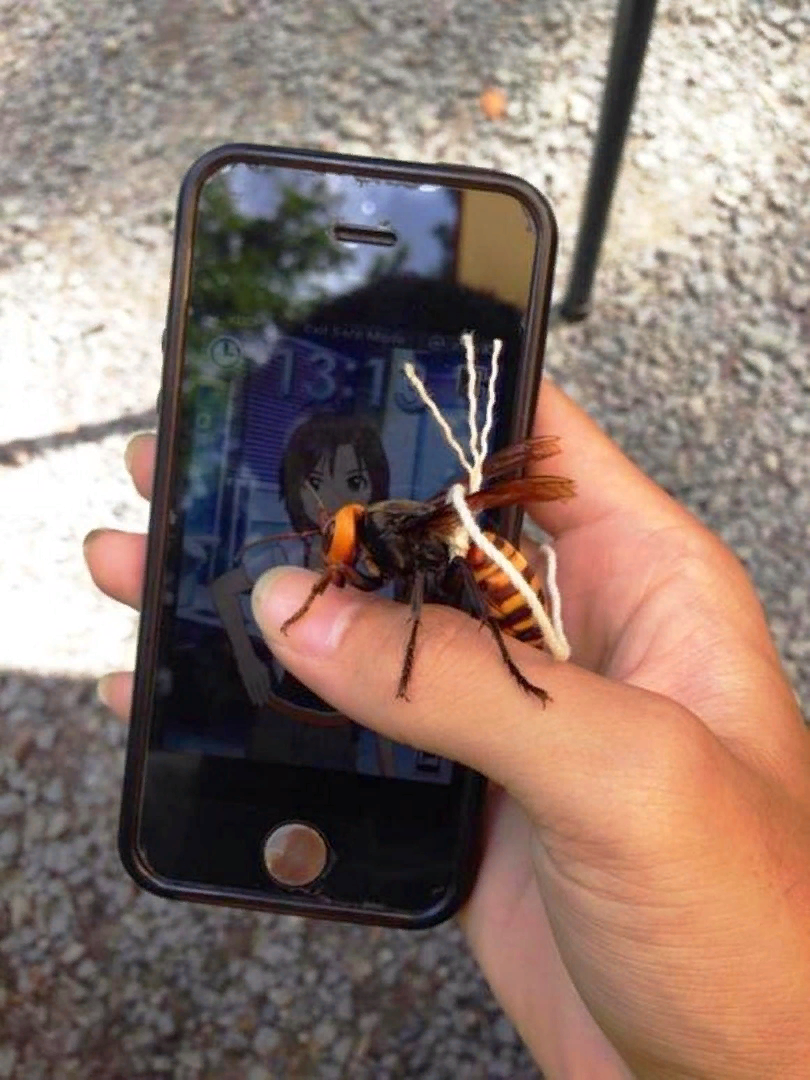 Был пацан и нет пацана...