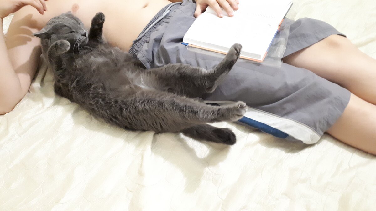 нет, это не случайный кадр))) Он действительно завис)