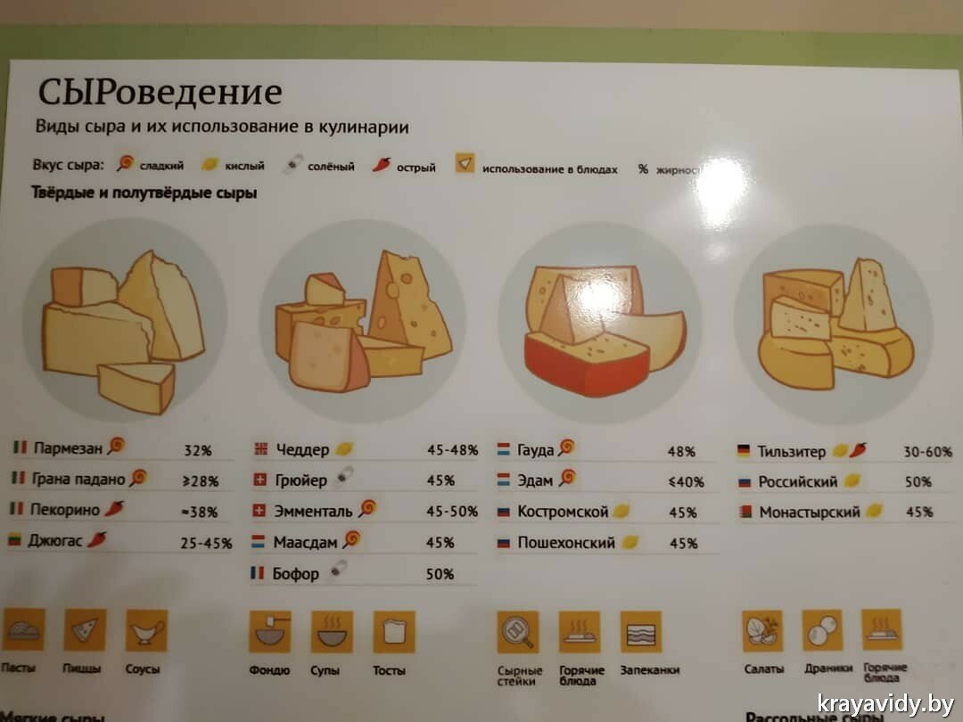 Твердые сорта сыра список. Твердые сорта сыра.