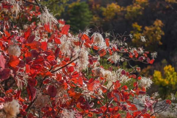 Фото А. Бондаря, руководителя «Школы юнкоров».