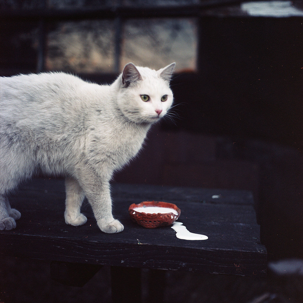 Фото из открытых источников