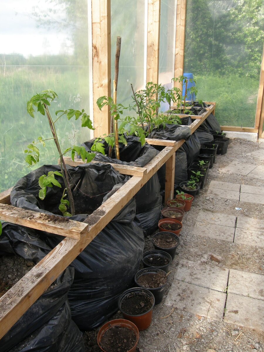 Очень хочу попробовать.