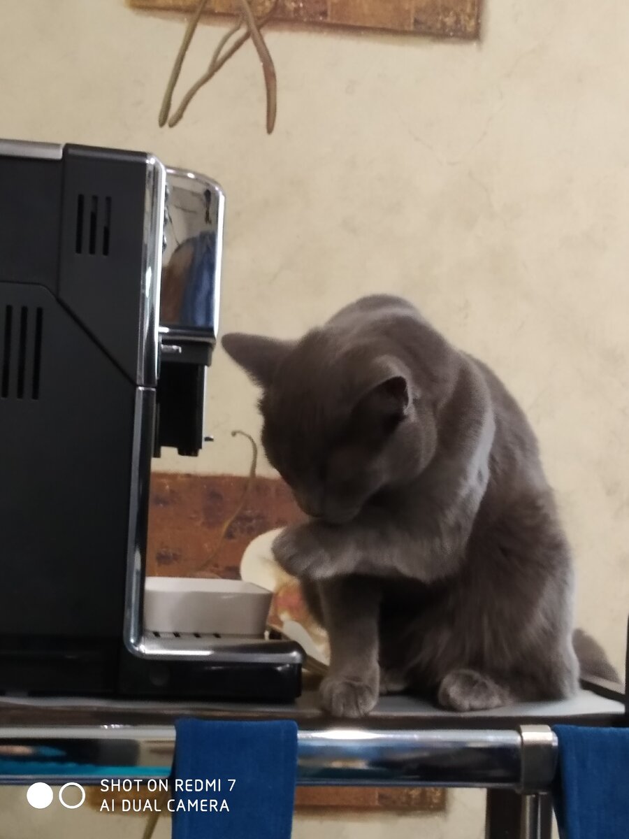 Член семьи, которому позволяет всё. 