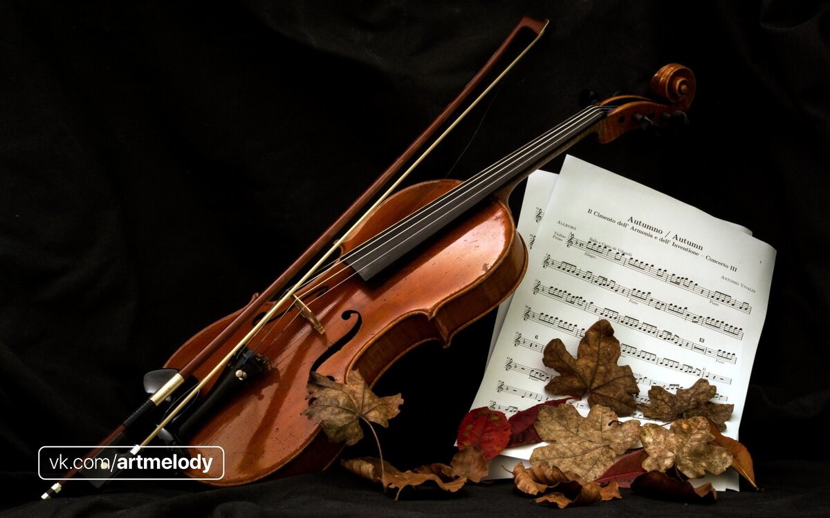 Из какой-то деревяшки, из каких-то грубых жил...