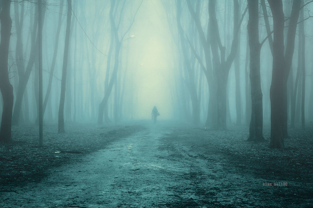 Изображение взято с открытого источника - Яндекс Картинки. Изображение не имеет никакой связи с написанным в статье. Изображение использовано в качестве иллюстрации к публикации. 