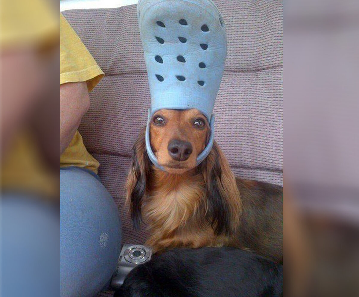 Поддержите меня лайком, если вы любите ходить по дому в тапках