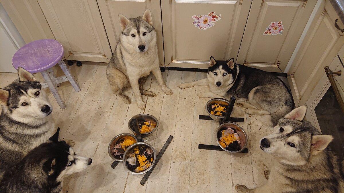 Фокус подразумевает зрительный контакт, его иногда называют глазки