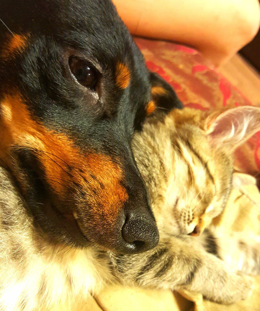 Фото из личного архива автора