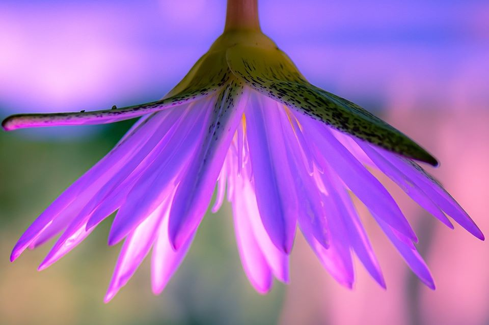 Простите, пожалуйста...