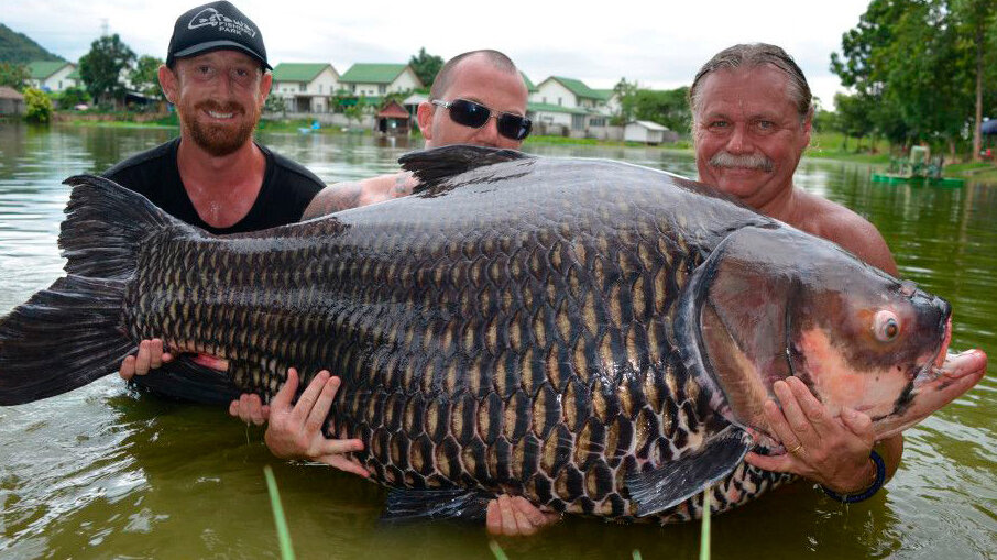 Источник: https://www.youtube.com/watch?v=6bLB1_LNK6o