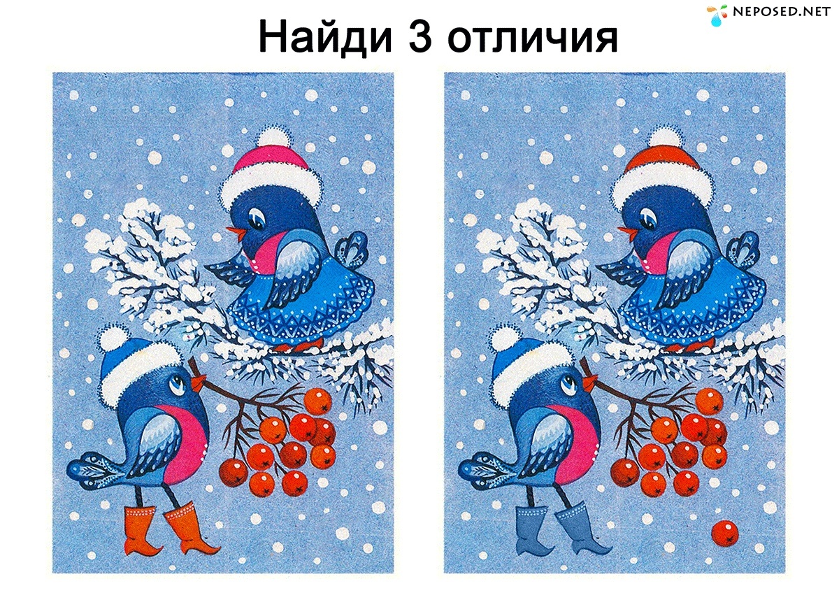 Ответы в конце