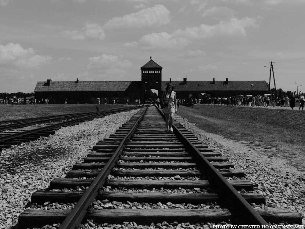 Photo by Chester Ho on Unsplash