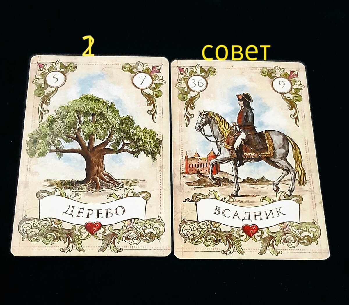 Карта дня сердце ленорман