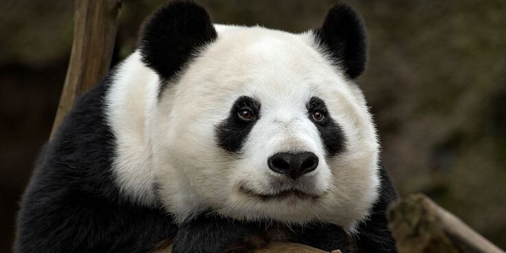 Фото: therichest.com