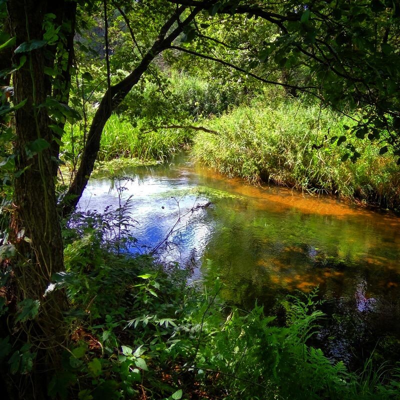 очень мелко, тут могут стоять лишь небольшие особи. так и оказалось...