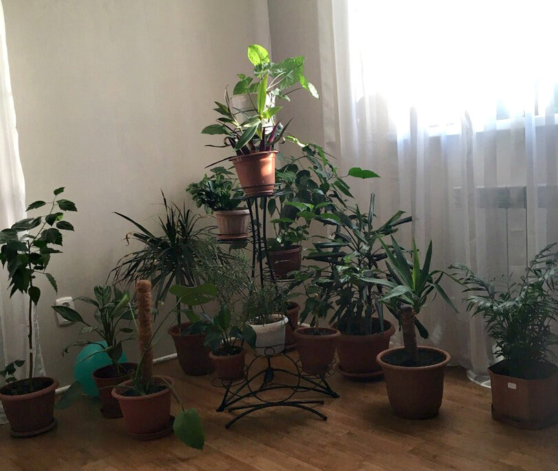 Фото – Елена Сергеевна из Ленинградской области