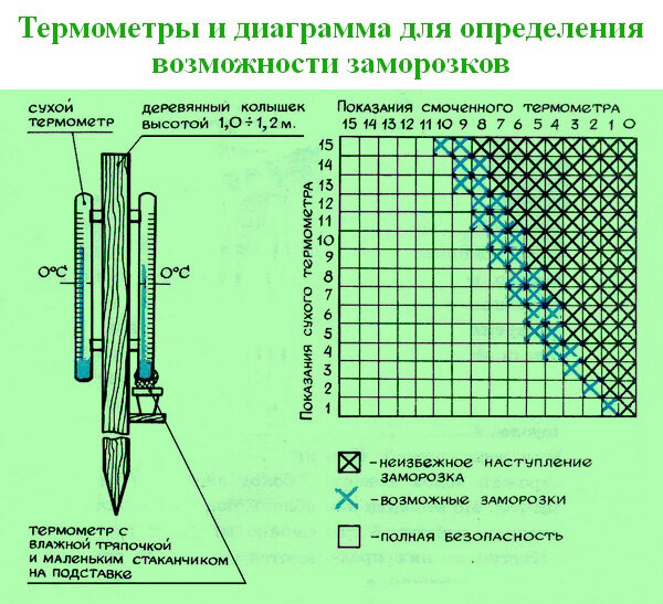 Поэтому  с наступлением весны и открытием огородного сезона надо следить за  малейшими изменениями температуры. Если она опустилась на 2—3  градусов,  надо действовать и защищать теплолюбивые растения, если они уже заняли  свои места на грядках.