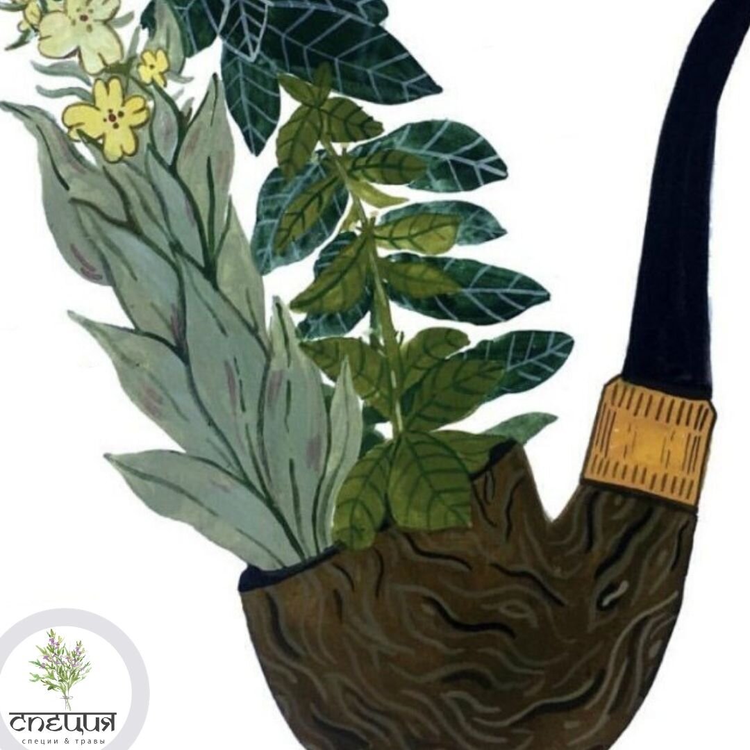 От вредной привычки помогут отказаться травы и коренья - читай и применяй! 