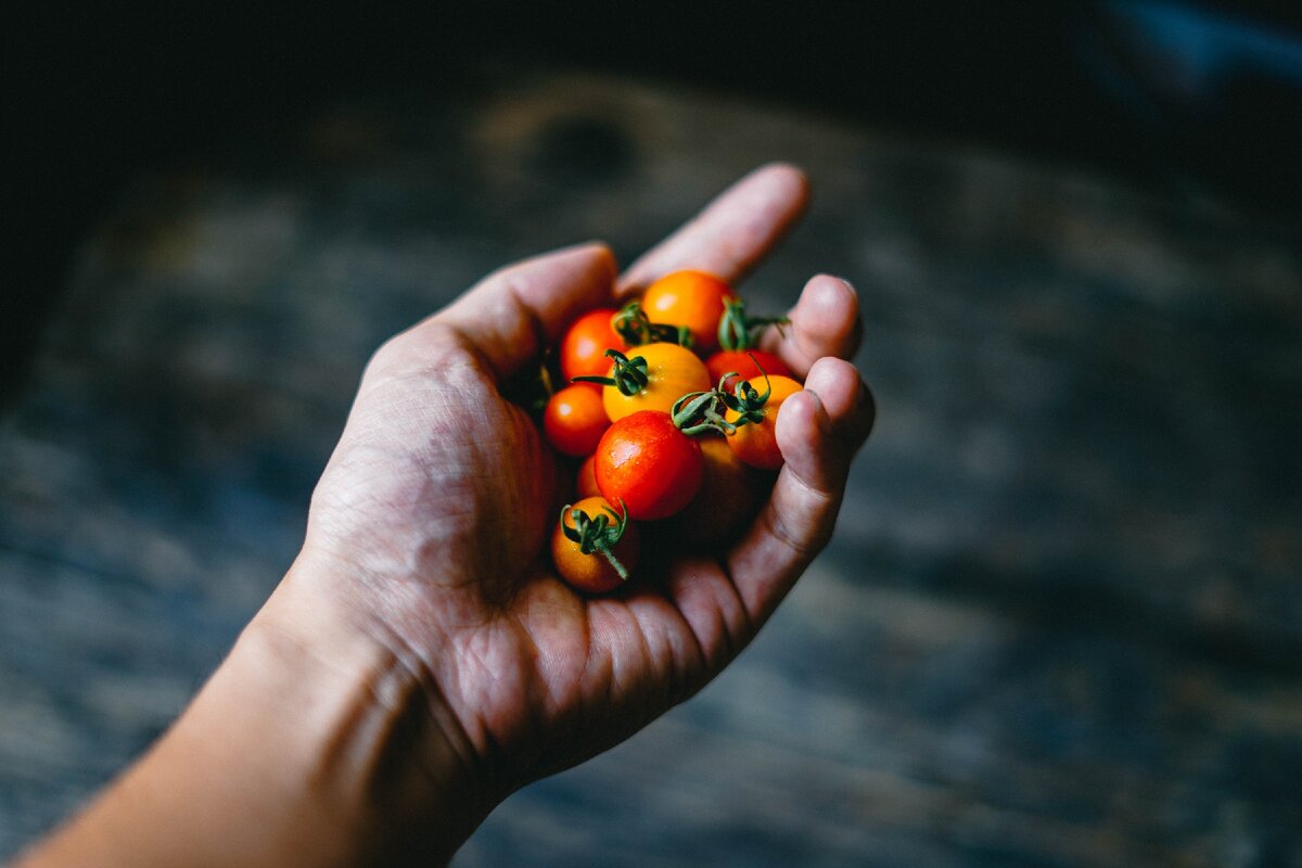 Photo by Chinh Le Duc on Unsplash