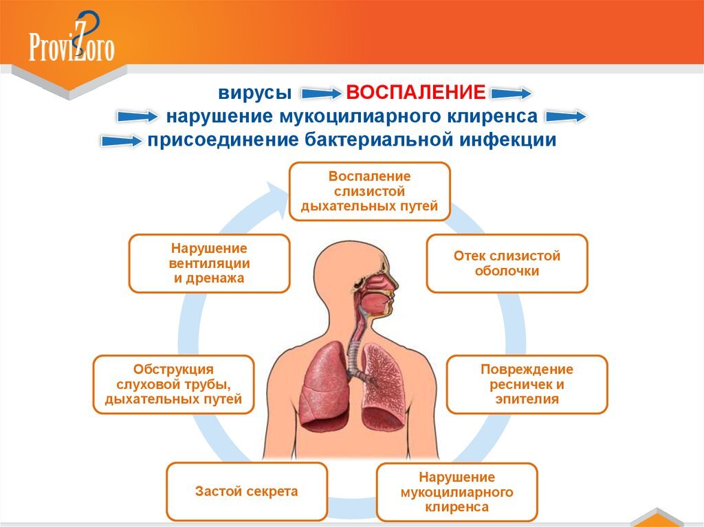 Кашель без температуры – виды и лечение - МедКом