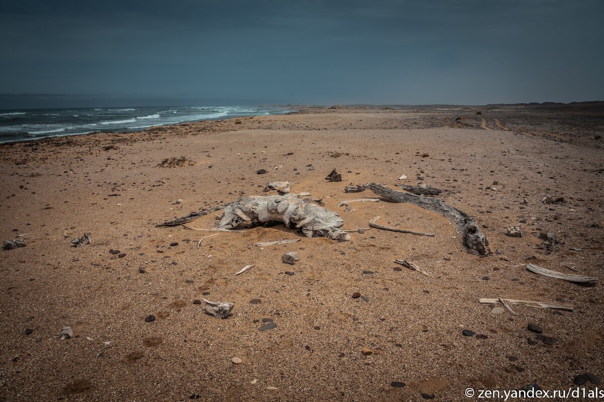 Одно из самых мрачных мест на планете: Берег скелетов – кладбище погибших кораблей, китов и самолетов